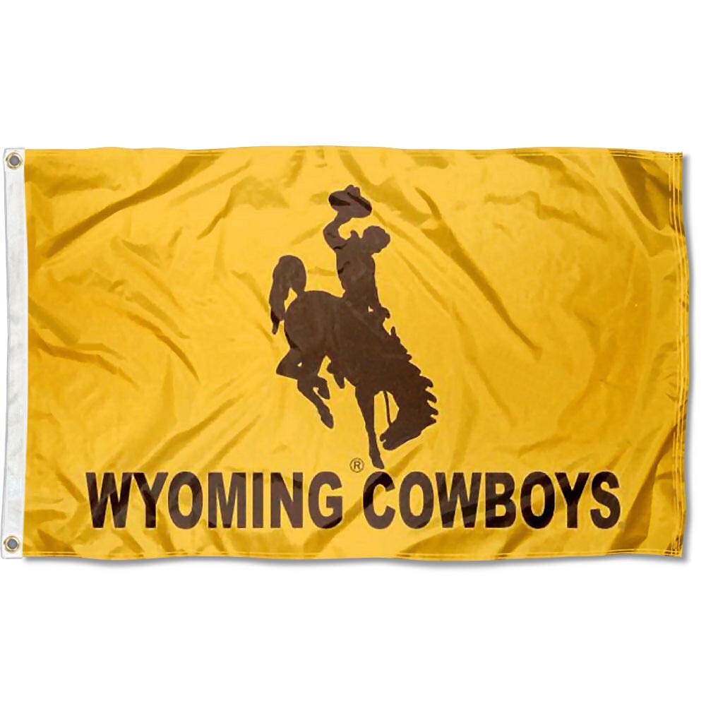 College Flags & Banners Co. Wyoming Wordmark 3x5 Grommet Flag