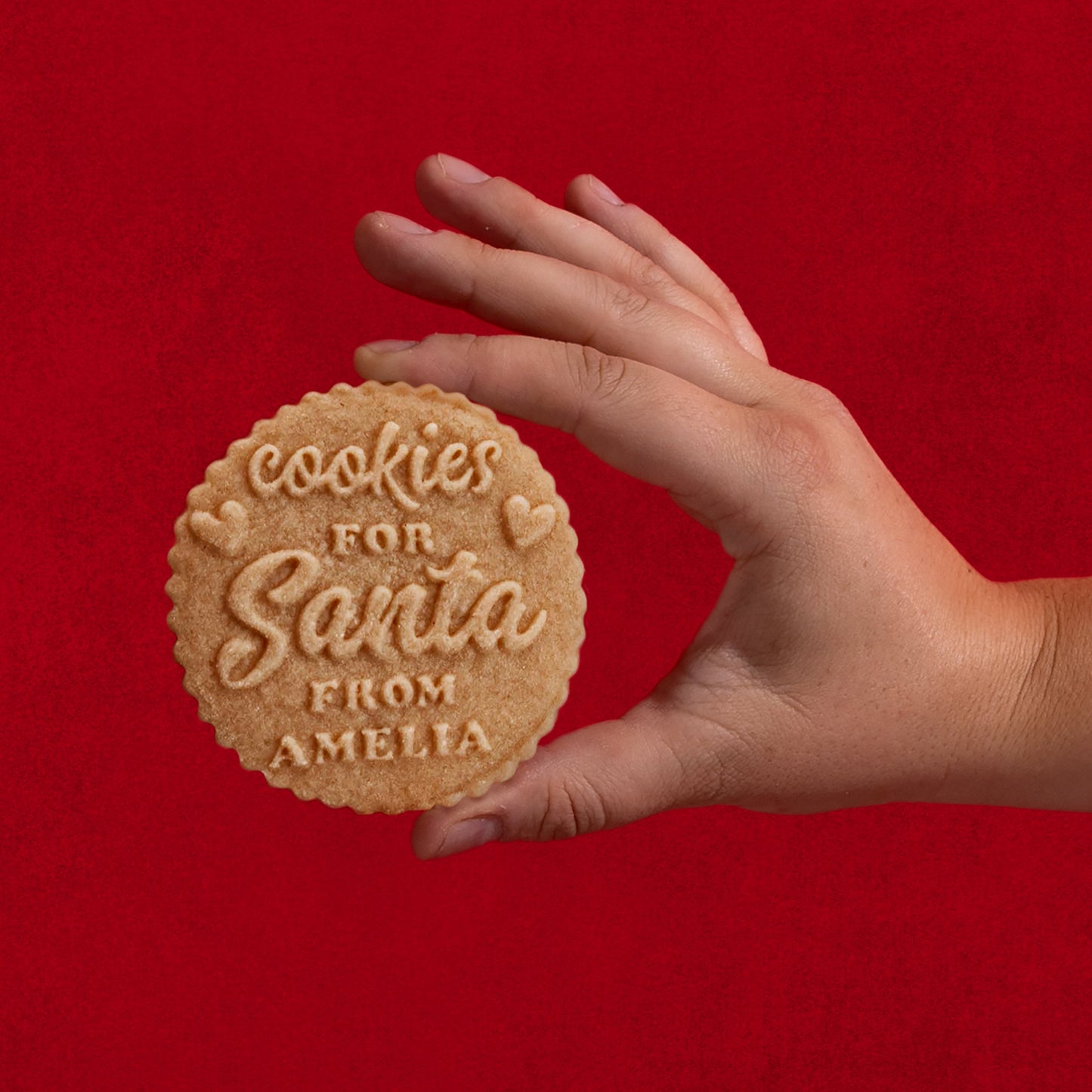 Christmas Cookie Stamp - Holly Jolly